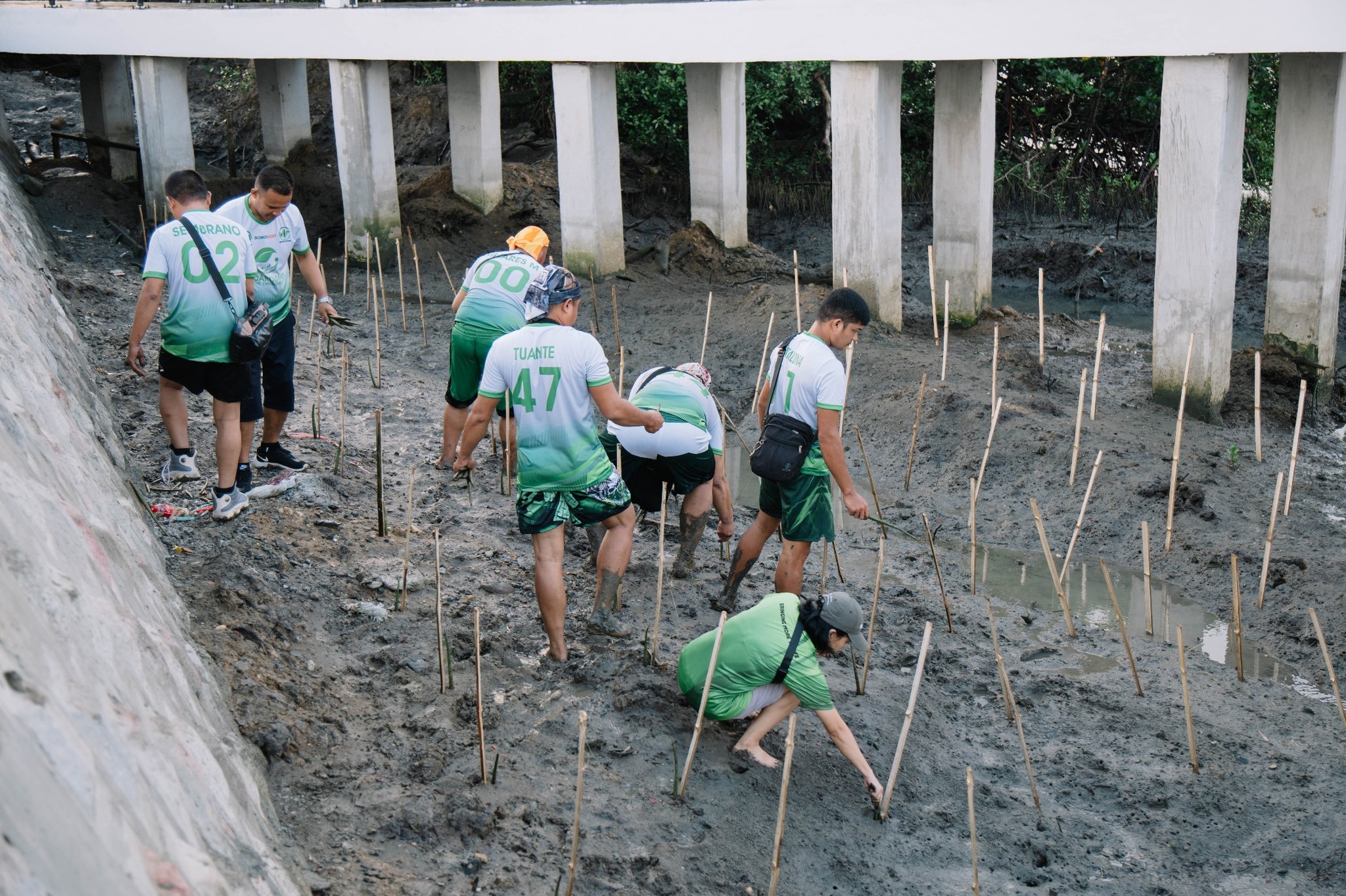 MORE Power pioneers mangrove planting in Iloilo Sunset Boulevard