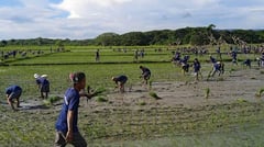 BuCor orders review of land lease rates in penal farms