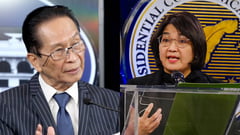 Panelo backs Guevarra's ICC stance, calls DU30's arrest politically motivated