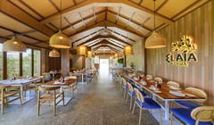 The essence of Greek cookery