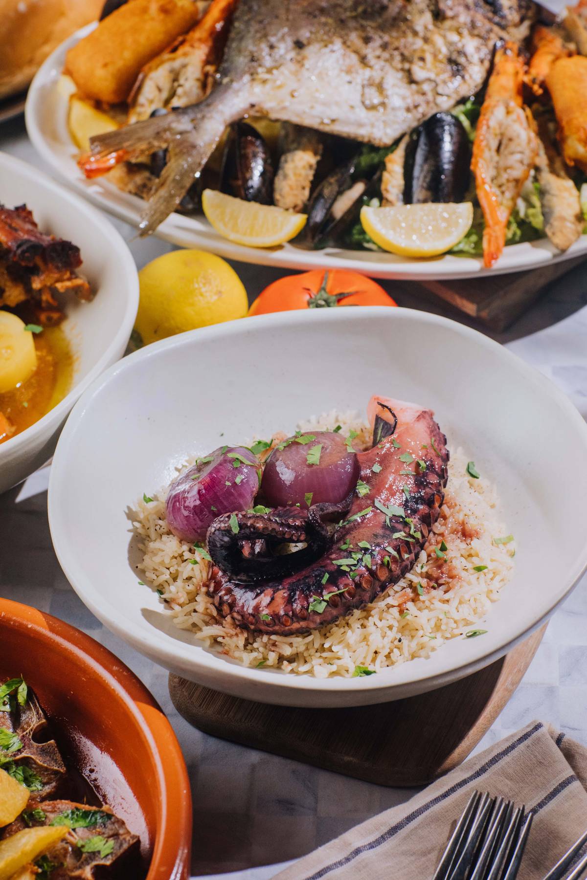Octopus Stew braised in red wine and tomato served with rice pilaf.