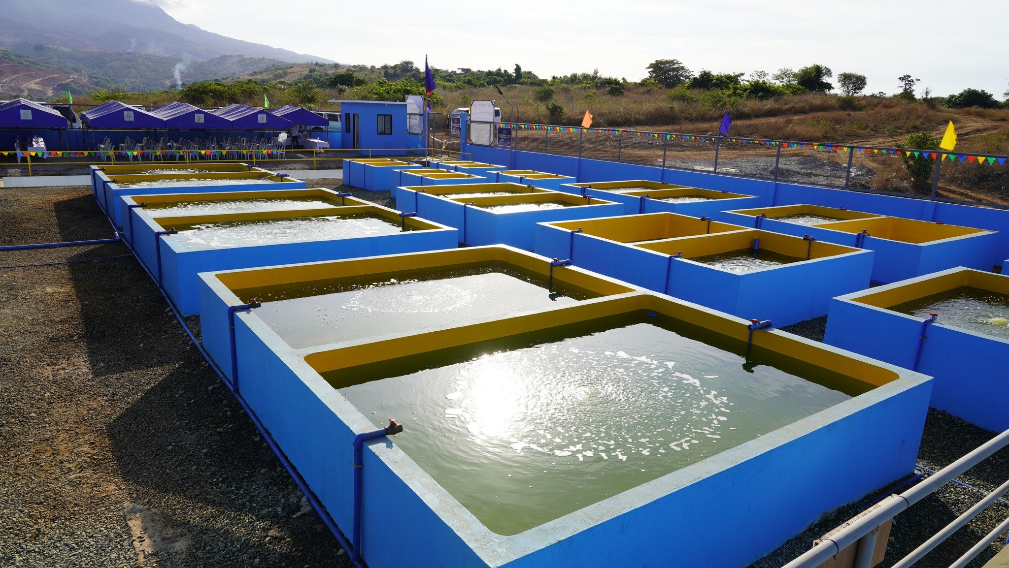 Bataan opens P32M marine hatchery