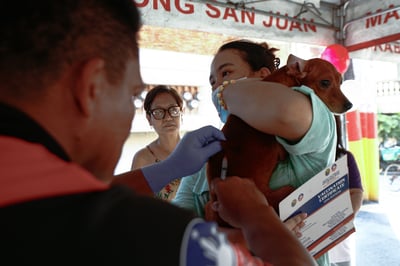 Over 2,000 Tanza residents get free anti-rabies shots