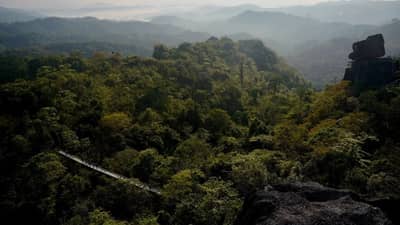 The Discovery Trail in Masungi Georeserve