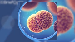 Rainy season warning: Baguio faces renewed threat from Meningococcal Disease