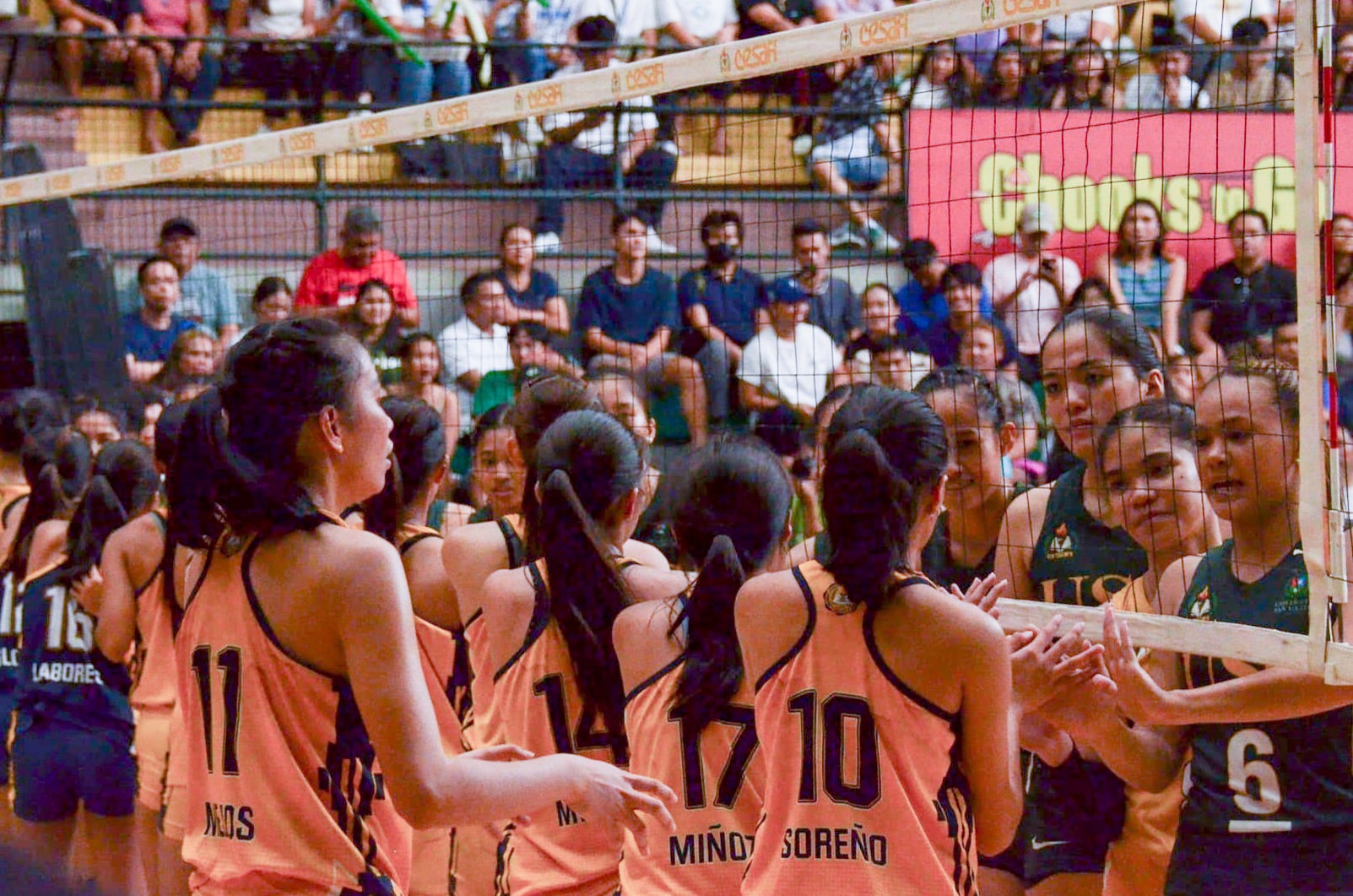 V-League expands to Visayas