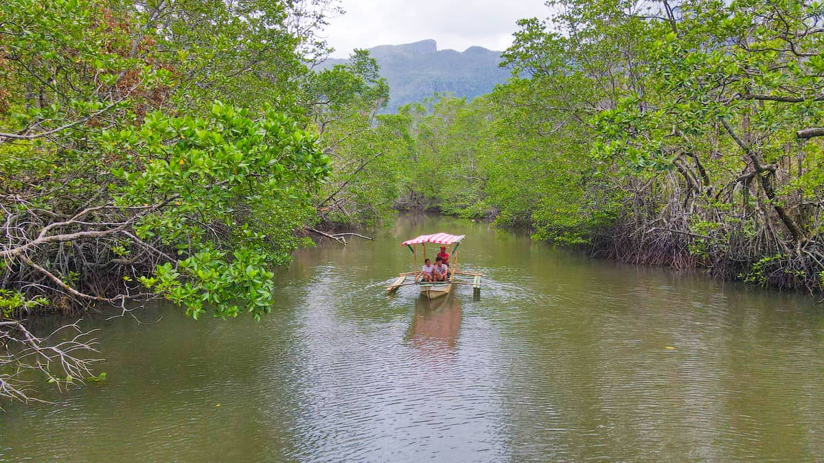 SABANG Mangrove
