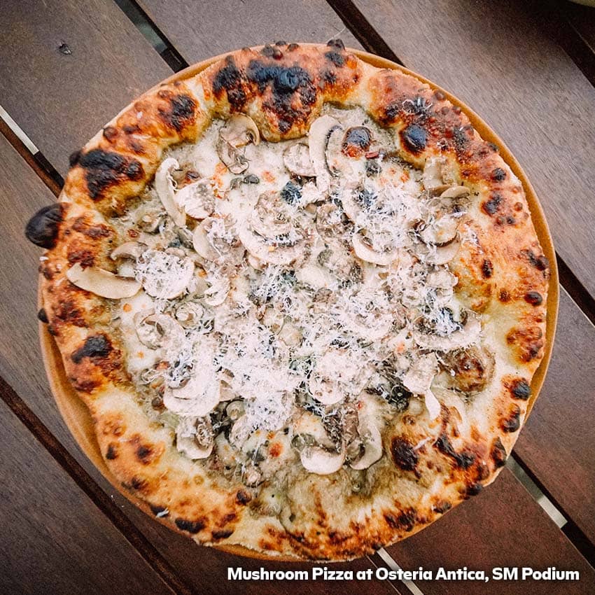 Mushroom  pizza