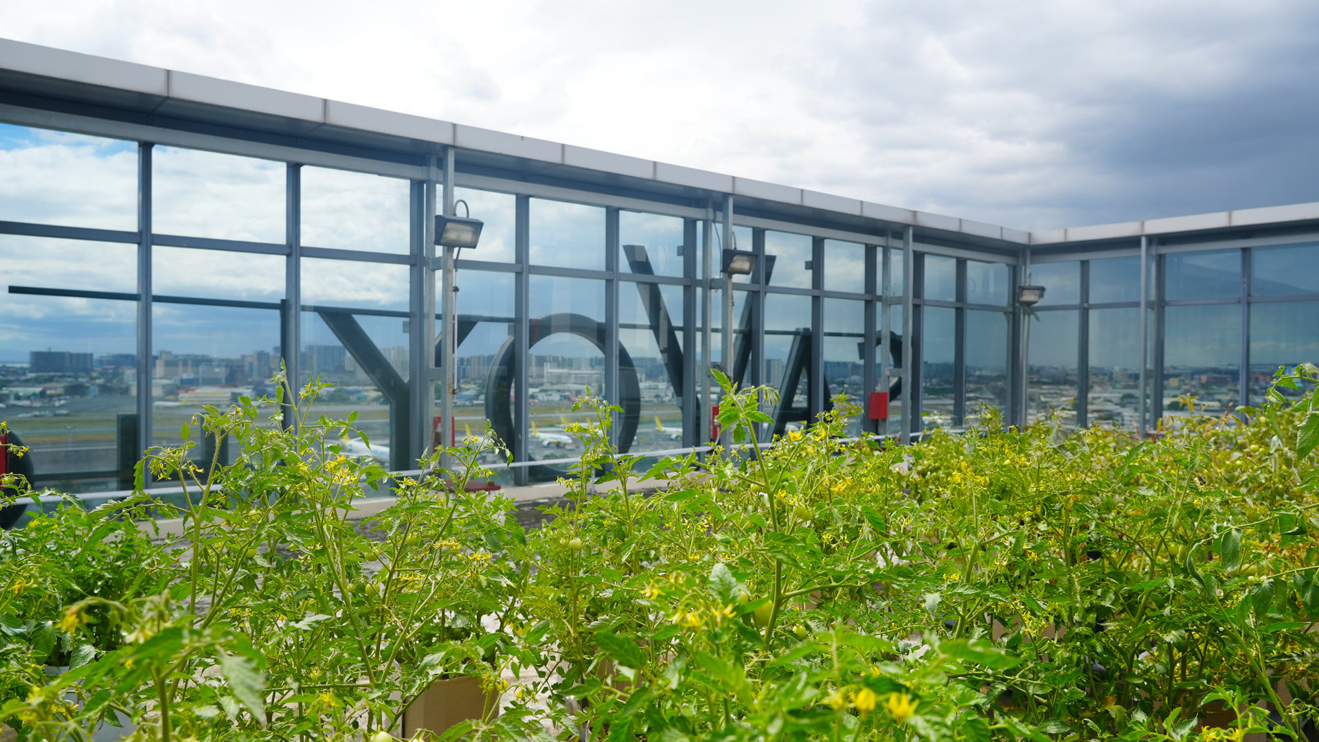 Earth Hour inspires food gardening, sampaguita planting