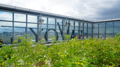 Earth Hour inspires food gardening, sampaguita planting