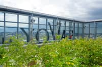 Tomatoes, lettuce and herbs are grown on the rooftop garden of Savoy Hotel Manila.