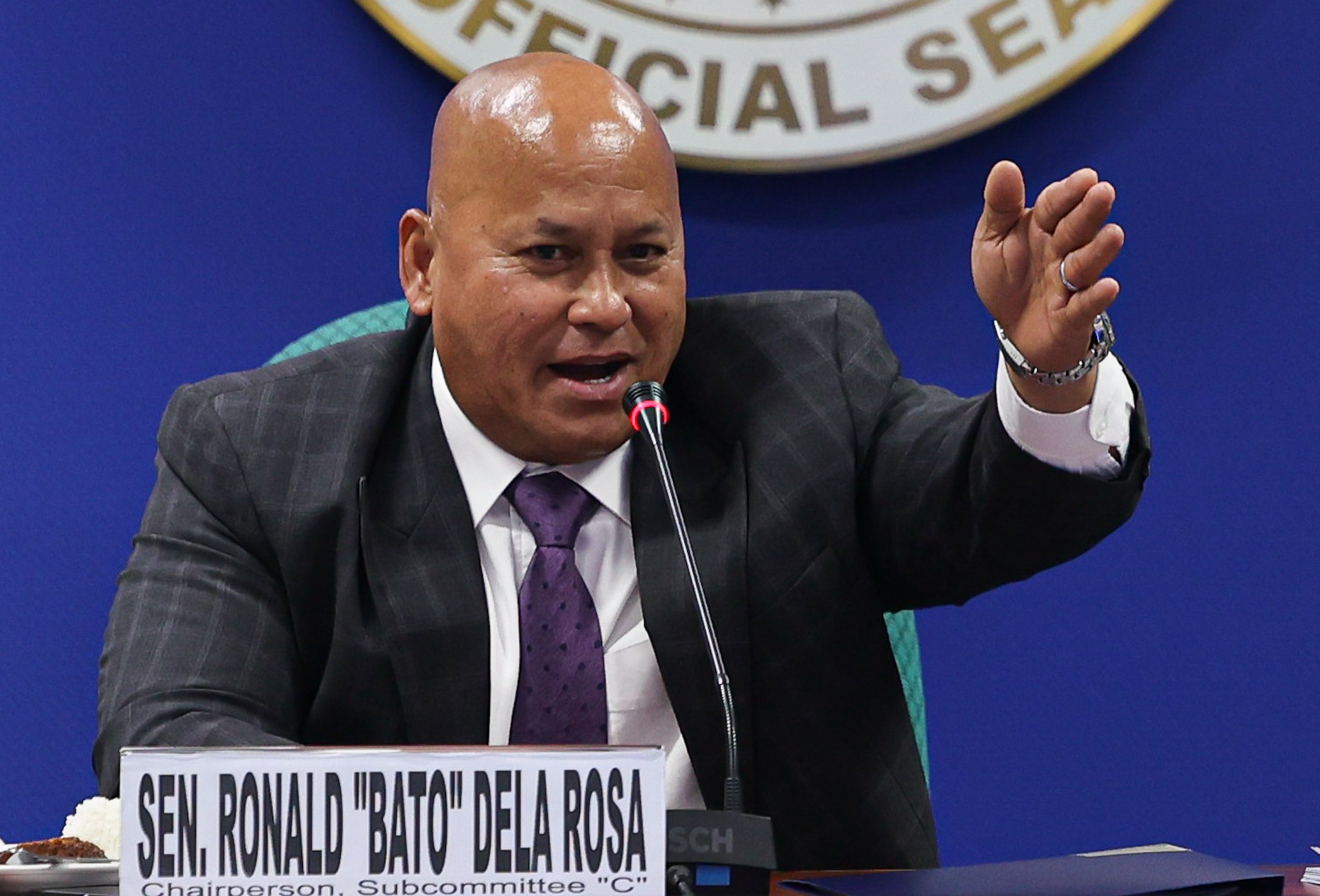 Rody arrest mocked Constitution — ‘Bato’