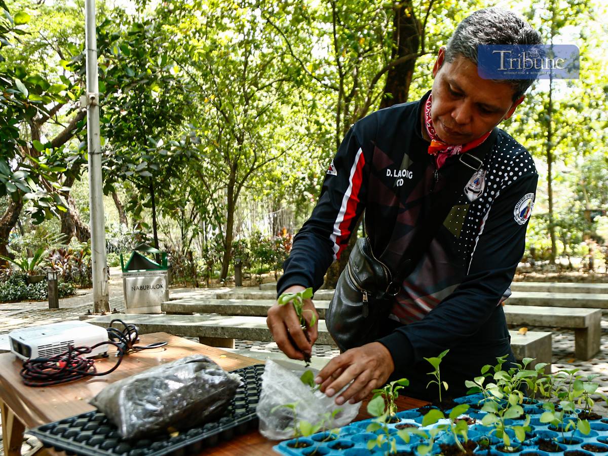 Government employees pick up free vegetable seeds and other planting materials at Quezon City's Joy of Urban Farming nursery on 25 March 2025. The city government is encouraging residents to grow organic vegetables in containers and mini-gardens.