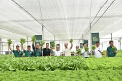 MPIC expands agri push with tech-driven farm
