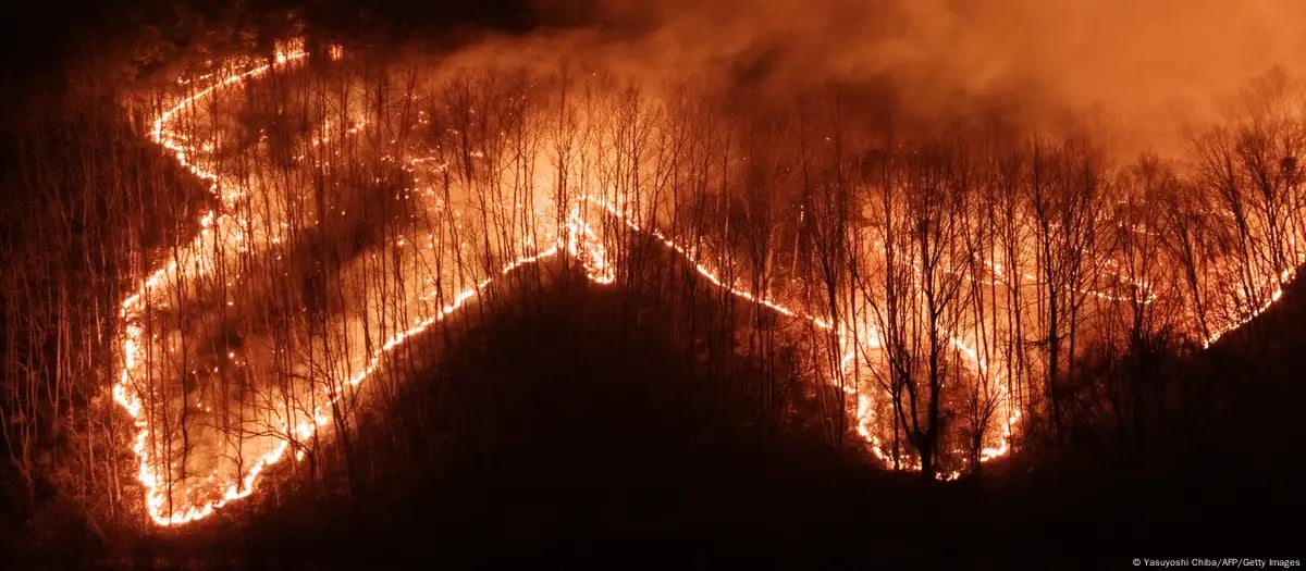 South Korea says 24 dead in raging wildfires