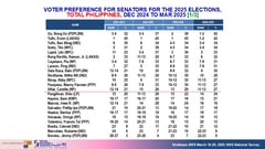 Bong Go, Tulfo lead again — SWS Survey