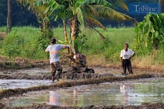 Pampanga farmers get over ₱1 million aid