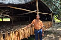 Saturnino ‘Ka Turning’ Distor, president of the Philippine Tobacco Growers Association calls for government intervention to combat illicit tobacco trade.