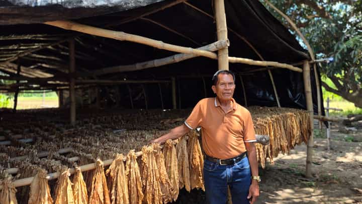 Saturnino ‘Ka Turning’ Distor, president of the Philippine Tobacco Growers Association calls for government intervention to combat illicit tobacco trade.