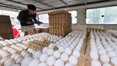 Groups urge giant markets to drop cage eggs