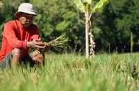 ACCESS to irrigation water from underground cistern is disrupted by climate change, according to the Rayuray Farmers’ Agriculture Cooperative.
