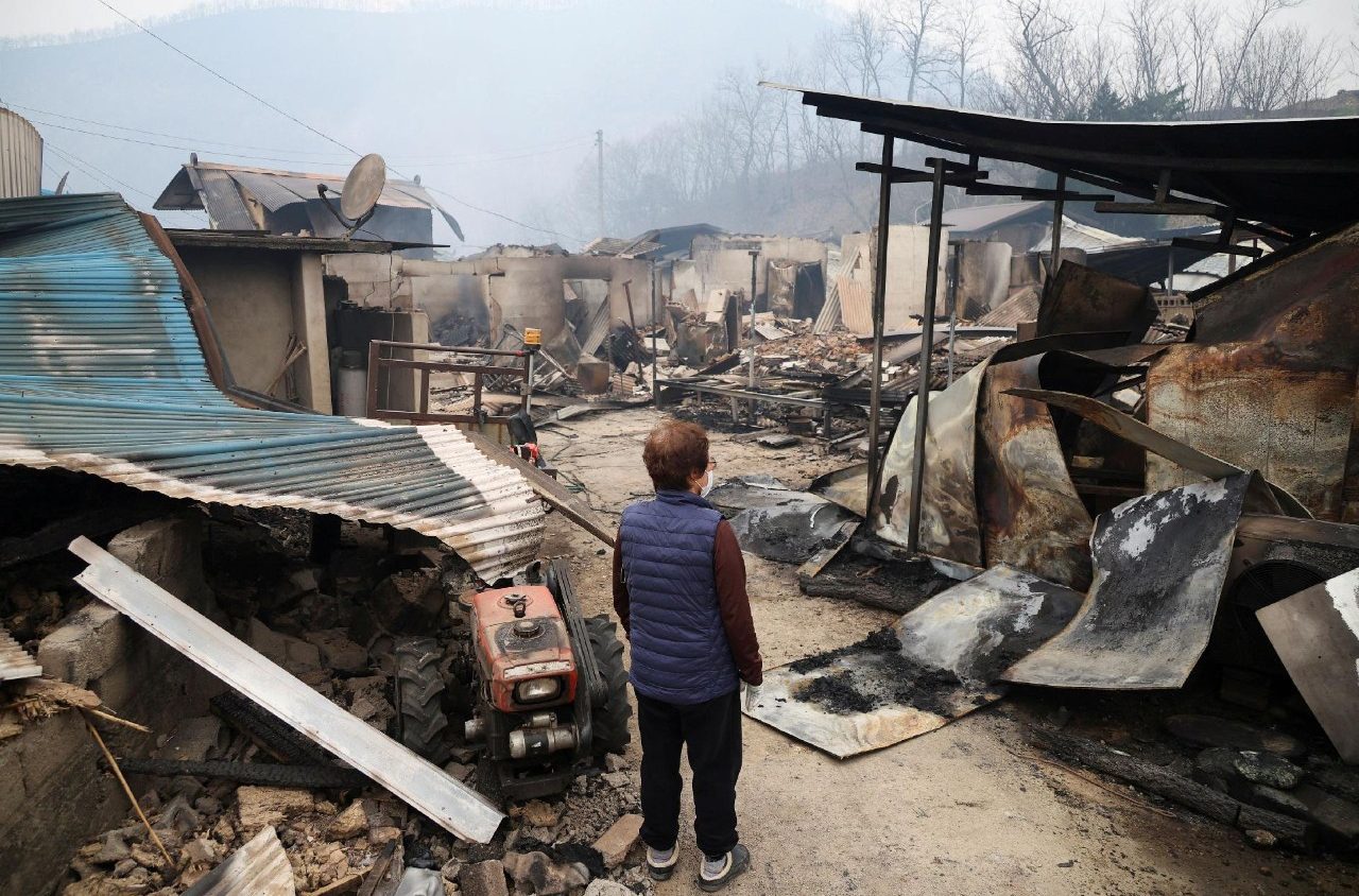 Pope sends telegram to those affected by wildfires in South Korea