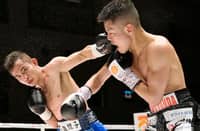 WBC taps officials for Jerusalem defense