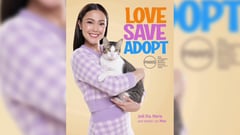 Jodi Sta. Maria: Cat got her heart