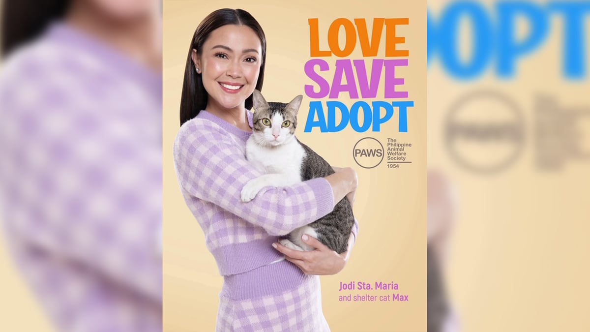 Jodi Sta. Maria: Cat got her heart