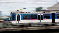 DOTr tumugon sa reklamong may insekto sa MRT-3