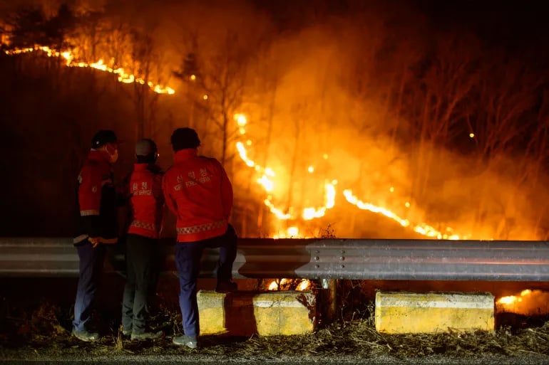 SoKor wildfires spare migrants