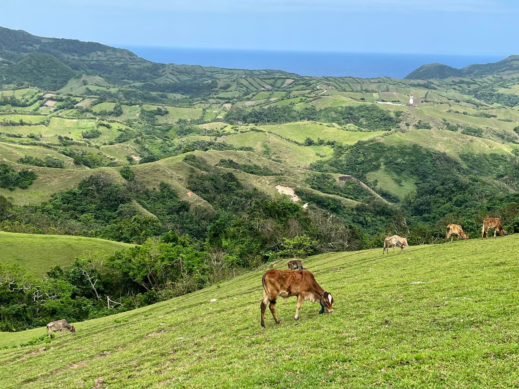 AFP-WPS spokesman rejects Chinese claim over Batanes