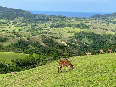 AFP-WPS spokesman rejects Chinese claim over Batanes