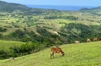 AFP-WPS spokesman rejects Chinese claim over Batanes