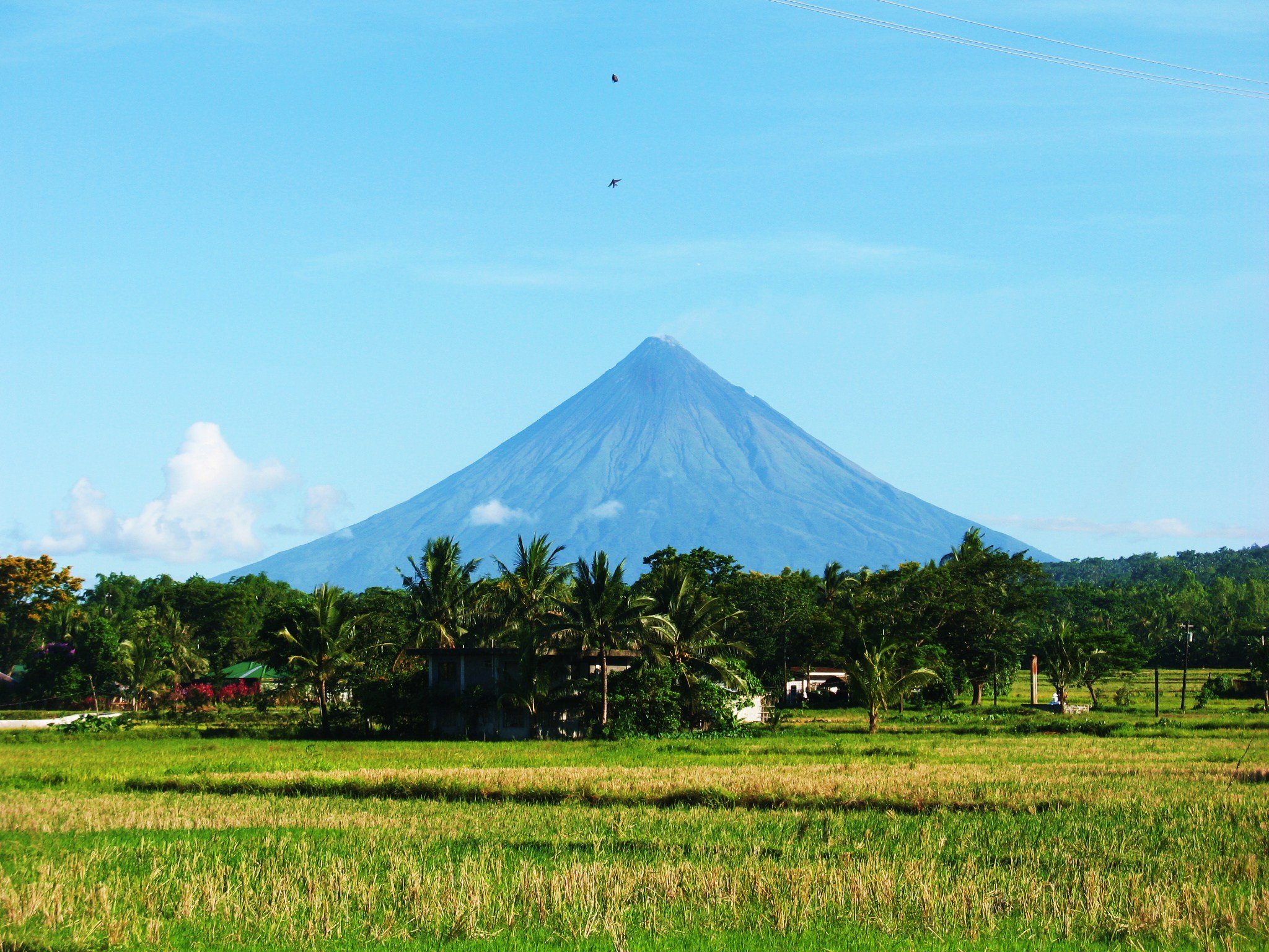 Phivolcs raises Alert Level 2 over Mayon
