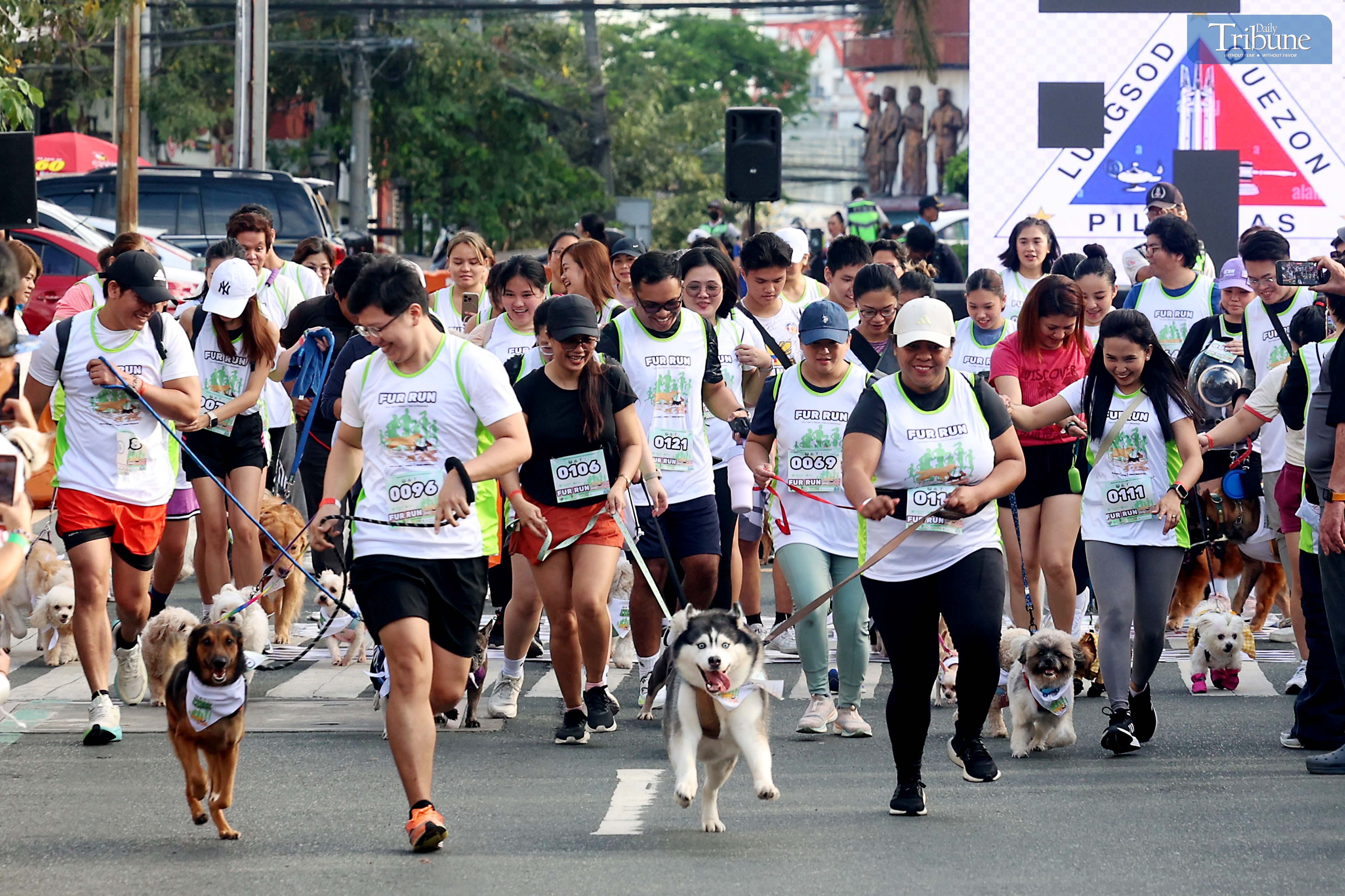 QC pet fun run