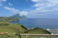 Cows are freely thriving in the hills of Tayid Lighthouse in the Municipality of Mahatao, taking advantage of the three-month dry season in the province which rain and typhoons are very prevalent, Batanes.
