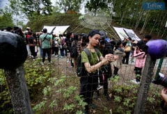 DENR calls for multi-stakeholder approach on Masungi amid contract cancelation