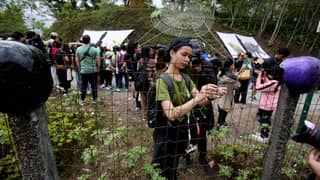 (1 April 2025) Hundreds of volunteers, conservationists, and community leaders from various environmental groups joined a solidarity walk and symbolic bell-tying protest at the Masungi Nature Defense Camp in Baras, Rizal. The action was in response to the 15-day eviction notice issued by the Department of Environment and Natural Resources (DENR) to Blue Star, the organization leading conservation efforts at the Masungi Georeserve. The groups are urging the DENR and other concerned agencies to hold a dialogue and reach a fair resolution that supports both environmental protection and responsible governance.