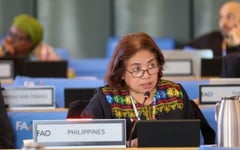 Benavidez first Filipino chair of UN food commission