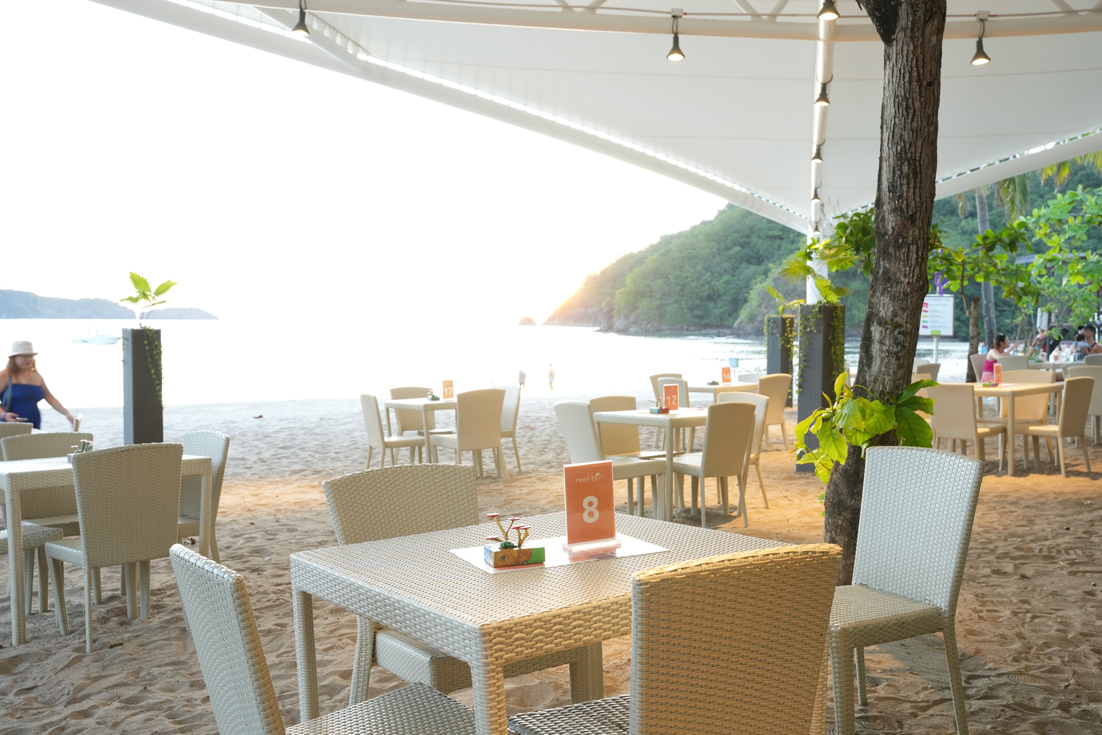 Reef bar