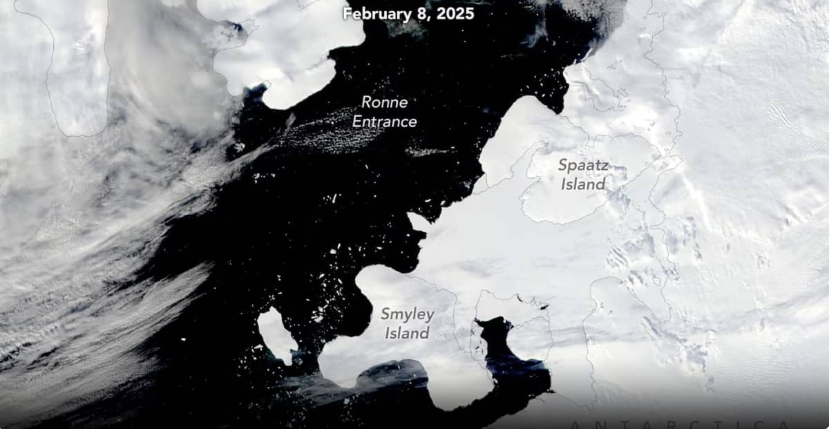A new iceberg has spent part of the Southern Hemisphere’s 2024-2025 summer ricocheting off parts of the Antarctic coastline. Over the past month, the potato-shaped berg has drifted about 250 kilometers (150 miles) from its point of origin near the George VI Ice Shelf’s southern end along the base of the Antarctic Peninsula.
