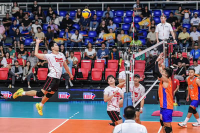 Cignal eyes Spikers’ Turf title