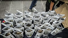 BoC, PDEA intercept P5.8-M marijuana shipment