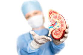 We can decentralize kidney transplant services by empowering regional centers and training more specialists to staff them