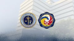 Cosmetics firm faces tax evasion raps
