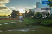 Summer-inspired celebration in Vertis North