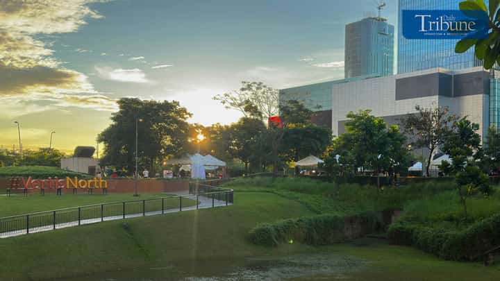 Summer-inspired celebration in Vertis North