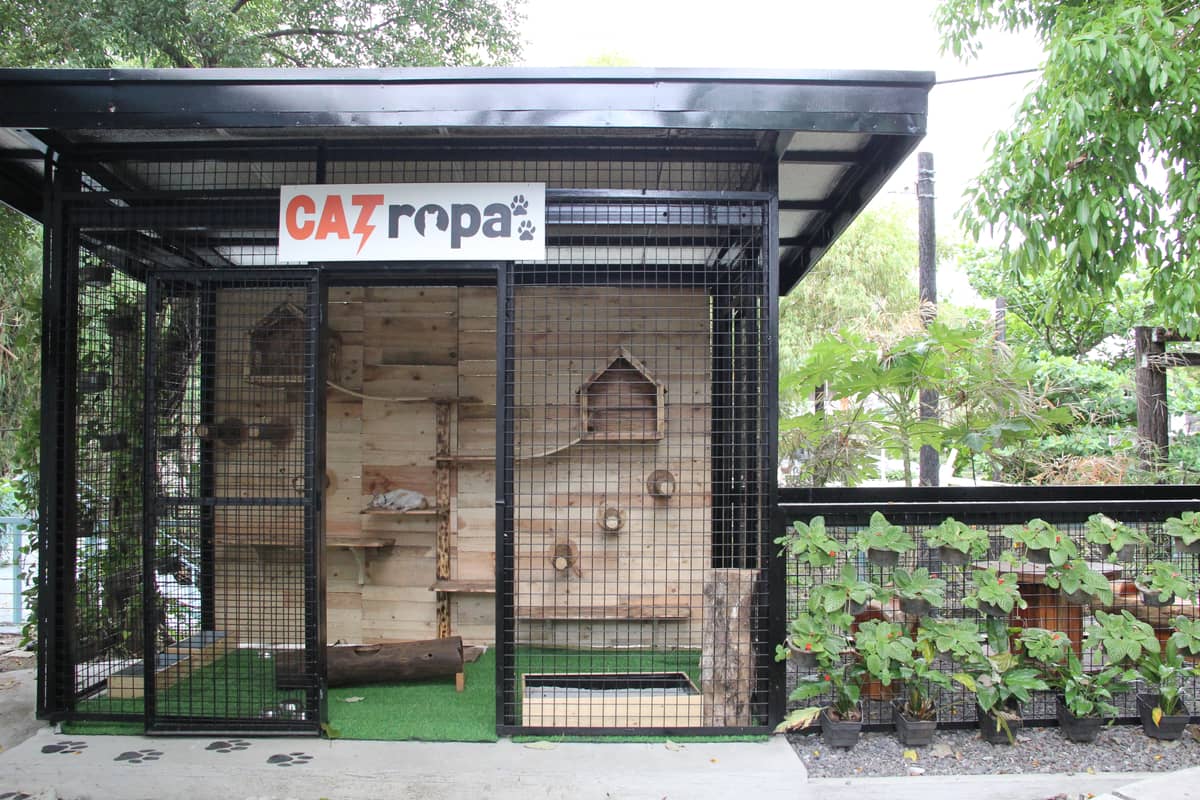 Built from recycled materials, the catio provides a safe and comfortable haven for Meralco’s community cats.