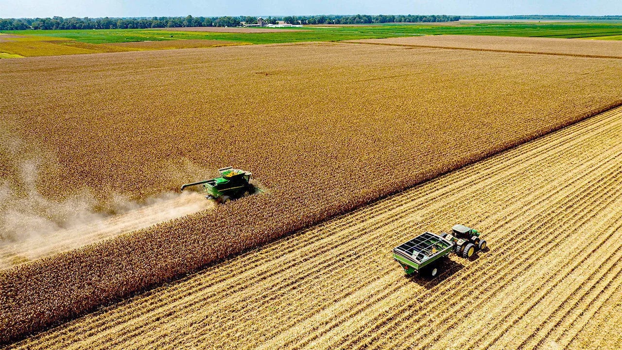 U.S. farmers face losses as Trump's tariffs hit



